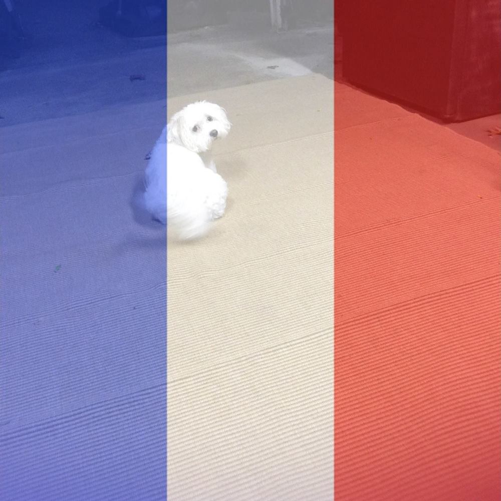 Meet your Posher, Lola